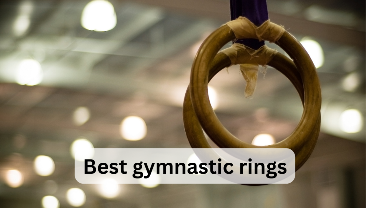 Roman Rings, Gymnastic Roman Rins, Roman Ring Gymnastic, outdoor fitness  equipment at Rs 33700 | Outdoor Gym Equipments in Chennai | ID: 27619325512