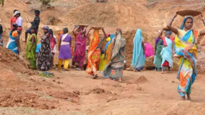 Bihar govt cancels 39.36 lakh MGNREGA job cards