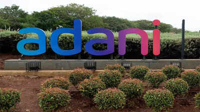 1 month on: Adani mcap loss at $142 billion, some stocks still stuck at lower circuit