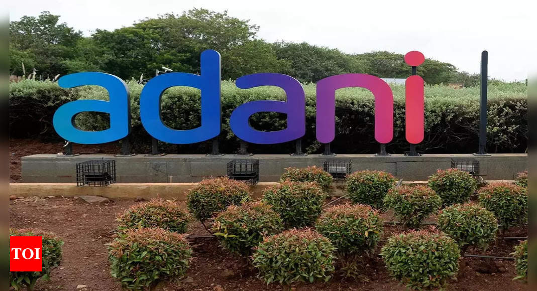 Adani stocks: Adani market cap loss at $142 billion, some stocks still stuck at lower circuit | India Business News – Times of India
