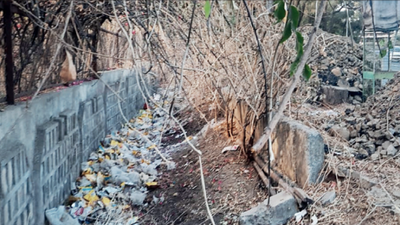 Maharashtra metro filling debris into futala lake’s natural stream