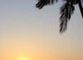 Zodiac signs on a free trip to GOA