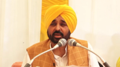Hatred does not grow in Punjab's soil, law & order is fine: CM Bhagwant Mann  | Chandigarh News - Times of India