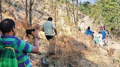 Camps to be conducted in five ranges of Tamil Nadu's Nilgiris forest division to ward off poachers