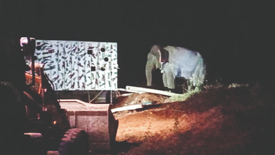 Forest department releases makhna elephant at ATR in Coimbatore