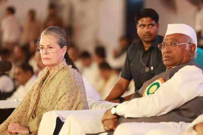 Congress plenary session Day 2 key points: 'My innings could conclude with the Bharat Jodo Yatra,' says Sonia Gandhi