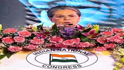 BJP fuelling fire of hatred, targeting minorities, dalits, tribals, women: Congress leader Sonia Gandhi