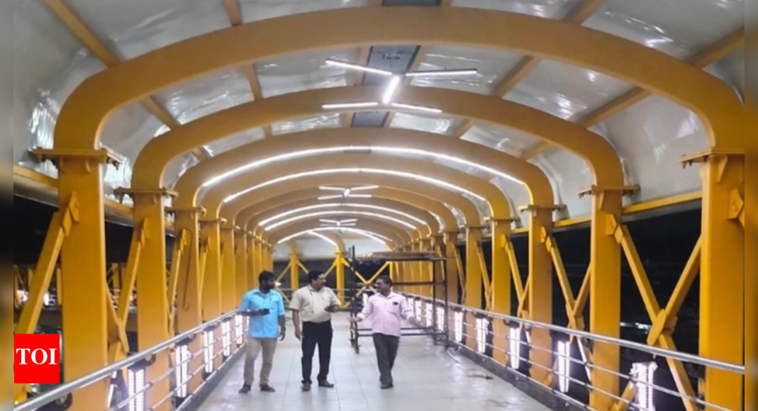 T Nagar skywalk, two other Chennai bridges to be ready in April
