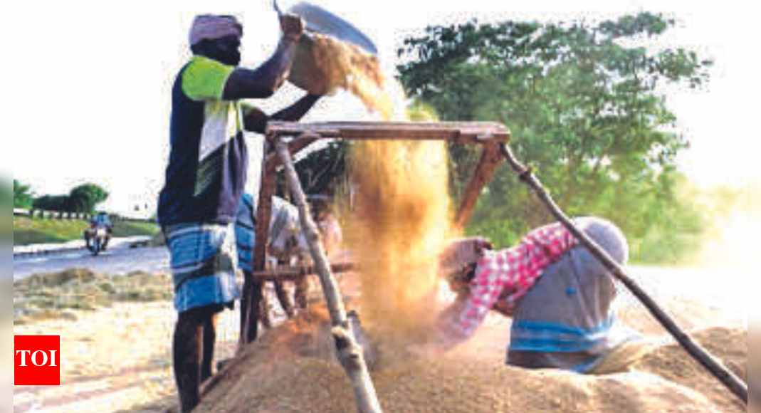 Tamil Nadu govt to rope in private players for paddy processing