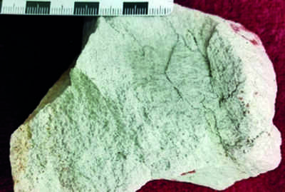 Rocks found in Telangana may open windows to Earth’s infancy