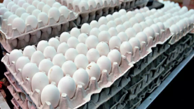 6 lakh SC & ST boarders of Odisha-run hostels to get eggs four days/week