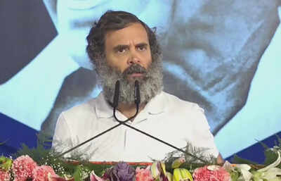 Congress 85th plenary session Day 3: 'One cannot ask questions about Adani in Parliament', Rahul Gandhi says