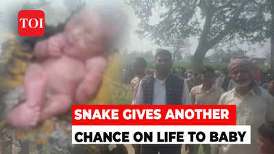 UP: Day old infant gets second chance on life with the help of snake, Watch how