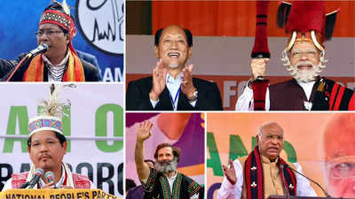 118 seats, over 550 candidates in fray: Stage set for voting in Meghalaya, Nagaland