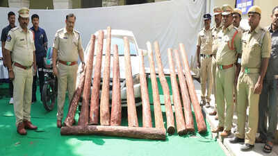 Tirupati police arrests three smugglers, recovers red sanders logs