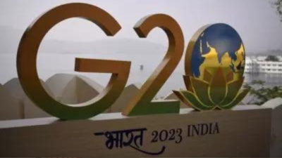 Russia praises 'constructive' role of India's G20 presidency