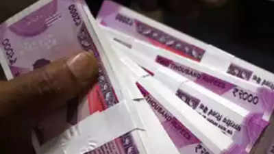 Meghalaya assembly polls: BSF seizes huge amount of cash near Bangladesh border