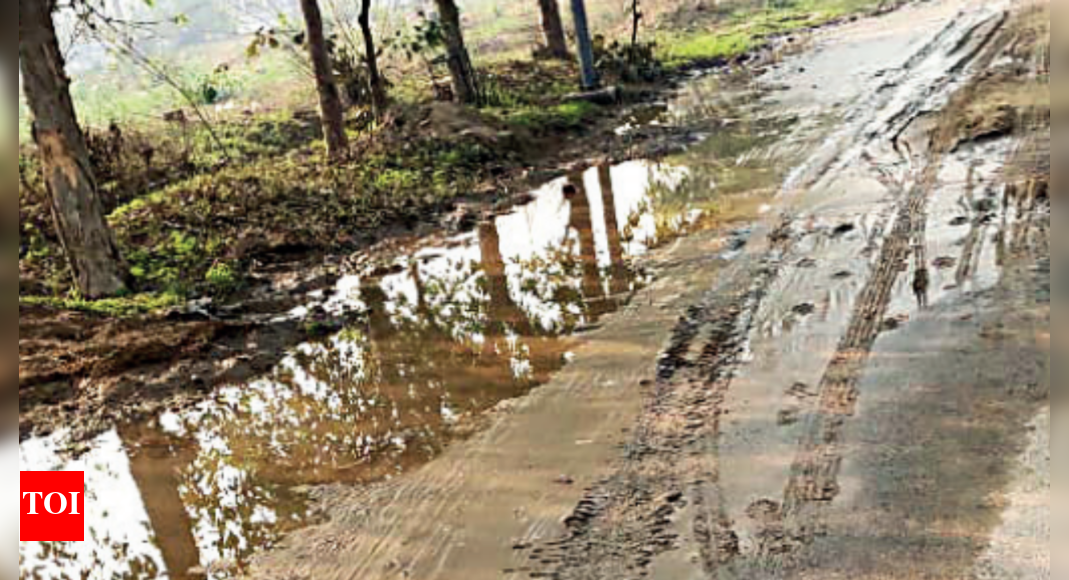 Faults in tank, leakage in pipelines in Noida trigger flooding on road ...