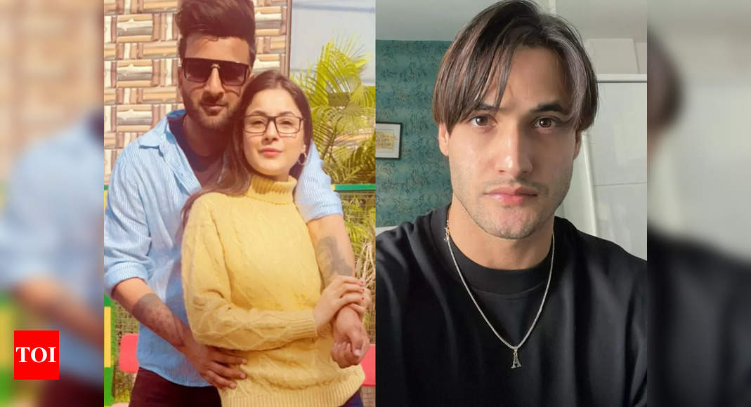 Shehnaaz Gill's brother takes a dig at Asim Riaz for calling Bigg Boss ...