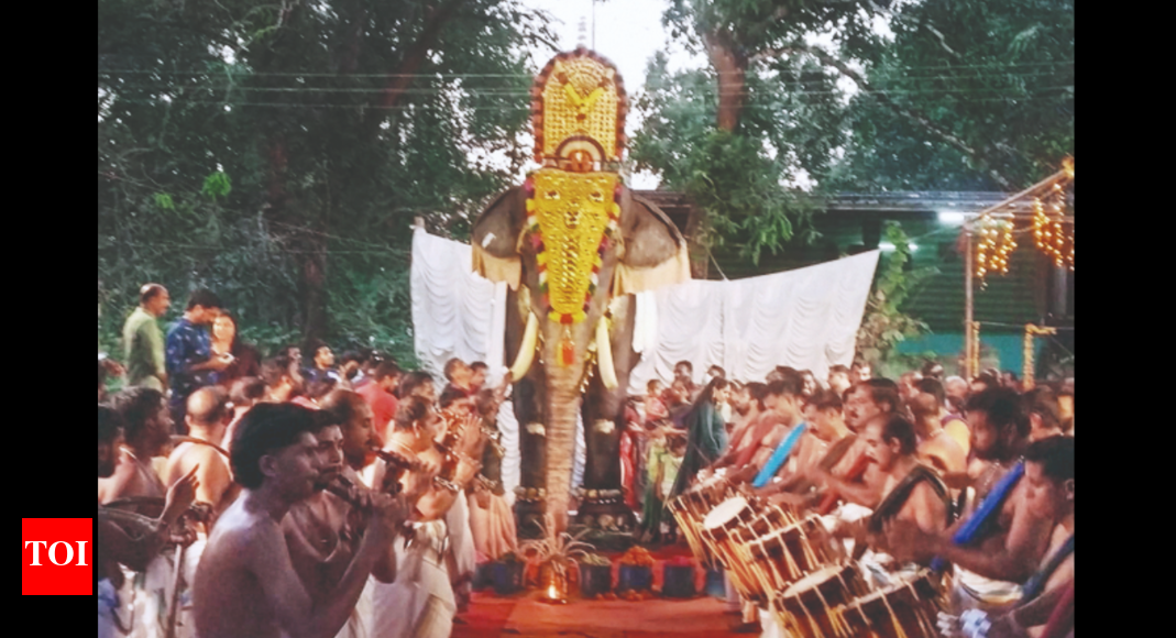 Robotic Elephant offered to Irinjadapilli Sree Krishna Temple in ...
