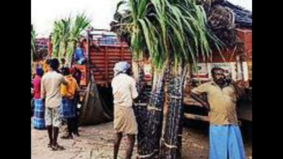 Karnataka: Sugarcane farmers to picket DC’s office