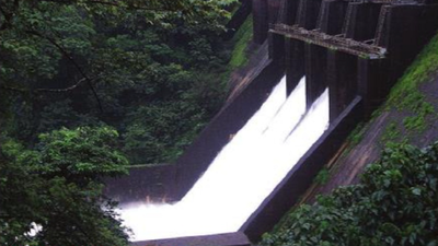 As Goa heads into summer, state's reservoirs 50-70% full