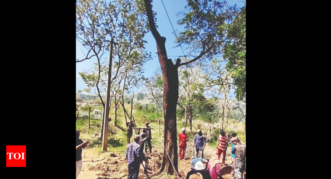 Marayoor forests now turned into a fireline-free zone | Kochi News - Times  of India