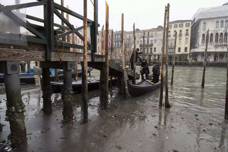 What works in Venice right now?