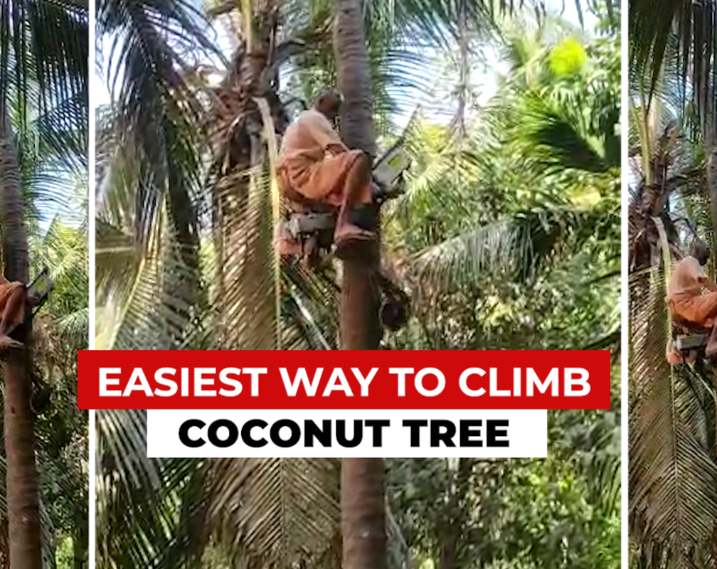 
Karnataka farmer invents ‘bike’ to climb coconut trees, Anand Mahindra takes note
