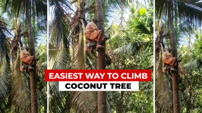 Karnataka farmer invents ‘bike’ to climb coconut trees, Anand Mahindra takes note