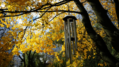 Beautiful Wind Chimes To Attract Positivity (March, 2025)