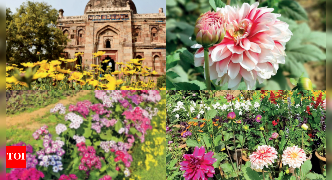 Wilting hopes: Spring bloom may not last long this season with summer’s ...