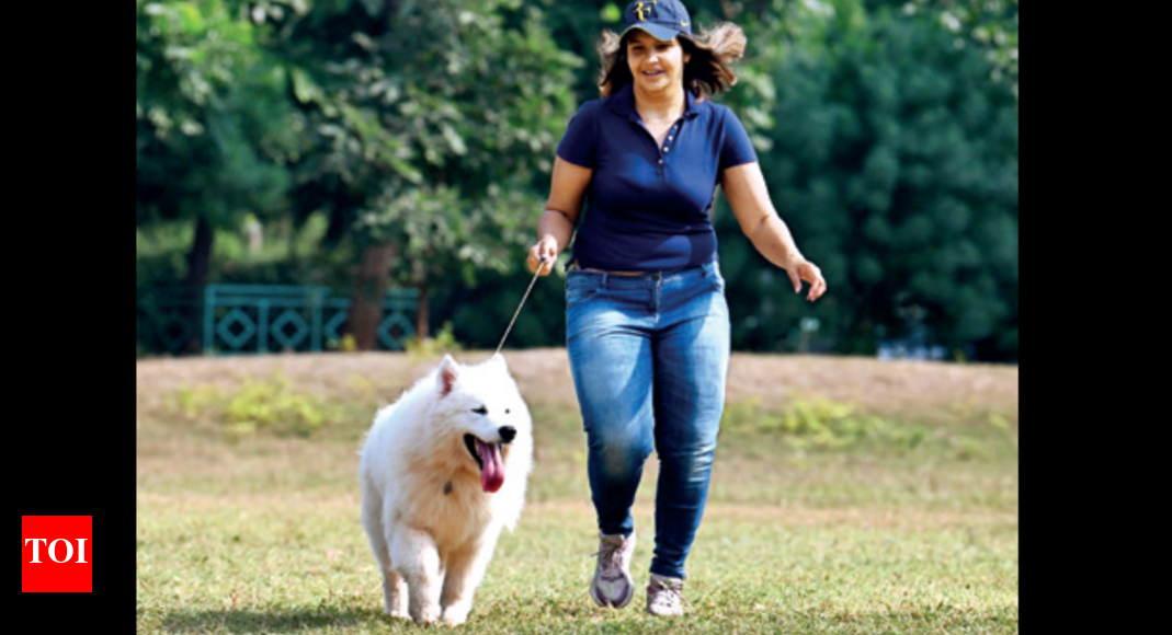 UP dog owners to give undertaking New rules issued for pets & strays Lucknow News Times of