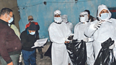 Bird flu scare in Jharkhand's Bokaro, 700 chickens go missing