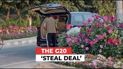 Men in car with VIP number plate lift flower pots arranged for G20 event, video goes viral