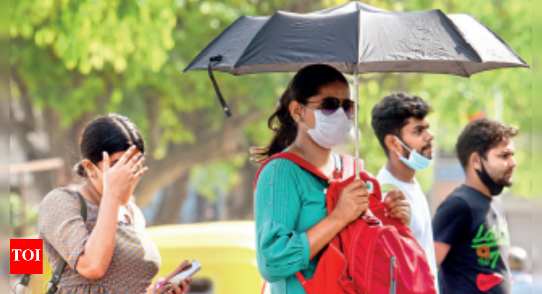 पसीना आ रहा है?  17 साल में यह दिल्ली की सबसे गर्म फरवरी है |  दिल्ली समाचार – टाइम्स ऑफ इंडिया