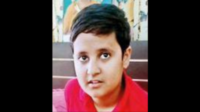 Stray dogs attack 13-year-old, sixth case in same building in Lucknow