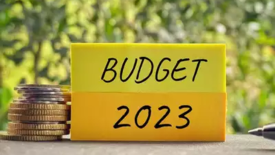 Punjab cabinet nod to present budget estimates in assembly, session to begin on March 3