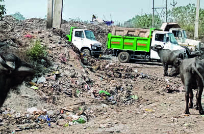 NGT seeks E S’bhum’s reply over Dumohini garbage dump