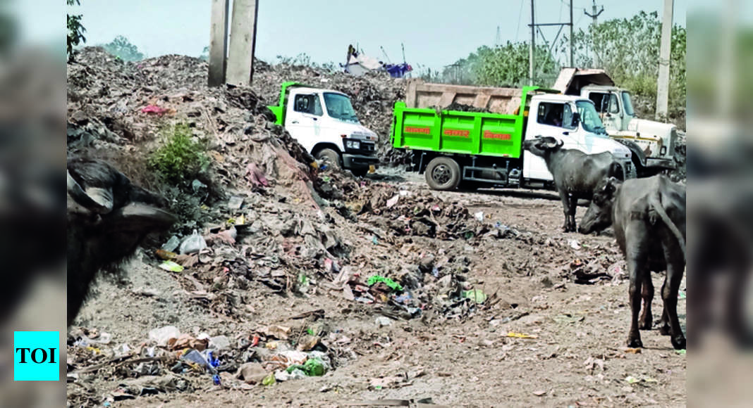 Ngt Ngt Seeks E S’bhum’s Reply Over Dumohini Garbage Dump Ranchi