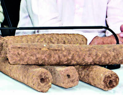 Greater’s green drive: Cow dung logs this Holika Dahan