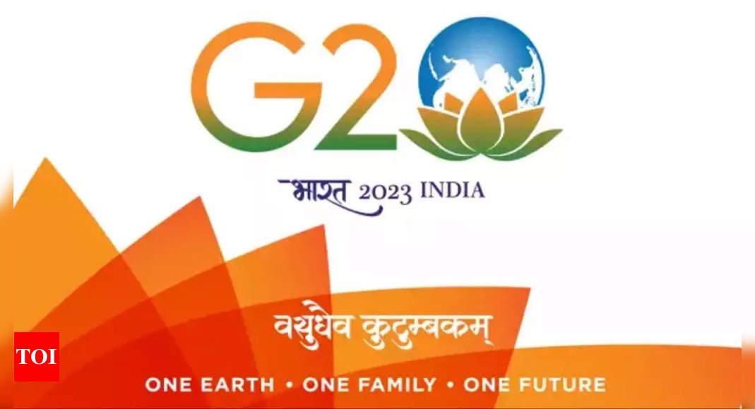 Foreign Ministers At G20 Meet:  Explainer: Why sparks may fly at key G20 meet | India News – Times of India