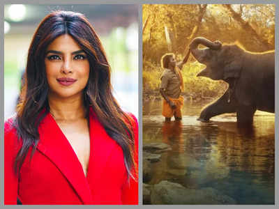 Priyanka Chopra showers praise on Oscar nominated documentary 'The Elephant Whisperers'; Guneet Monga says she's 'over the moon' – See post