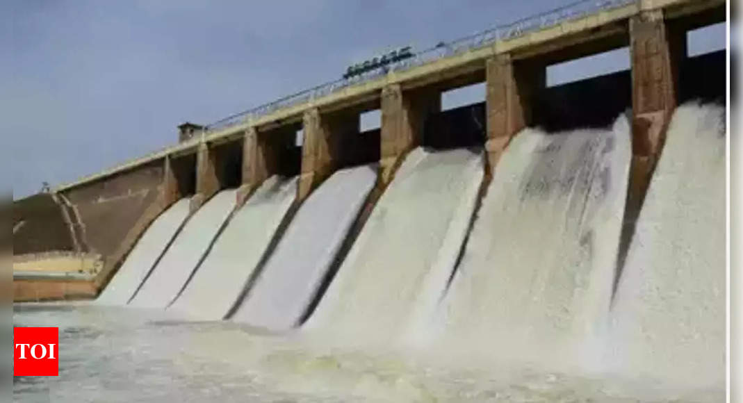 Arunachal Hydropower Project Centre Okays Indias Largest Hydropower Project In Arunachal 5410