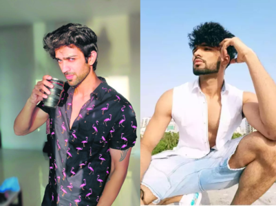 Manasvi & Zeeshan shortlisted for Kundali Bhagya?