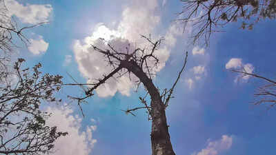 High temperatures help make February second cleanest in Delhi since 2016