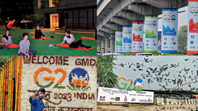 For G20 delegates, yoga, museums & millet in Delhi