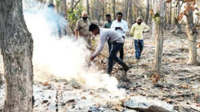 Mechanised blowers to contain fires in Jeypore forest