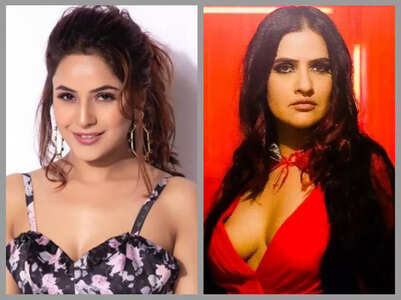Fans support Shehnaaz after Sona twitter row