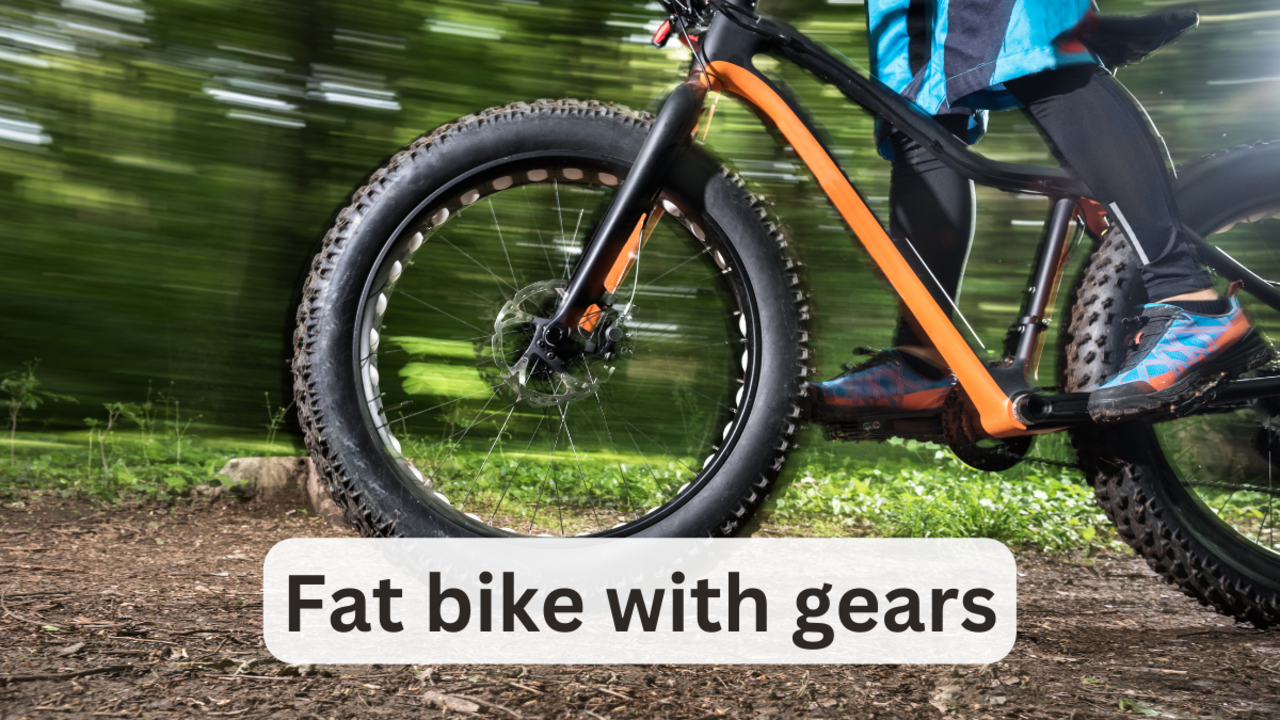 Best fat online bicycle